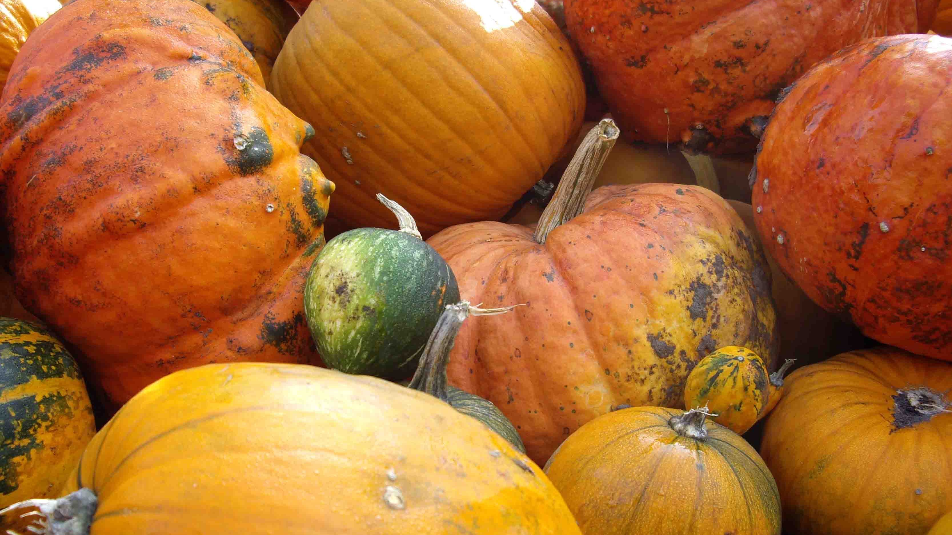 Herbst