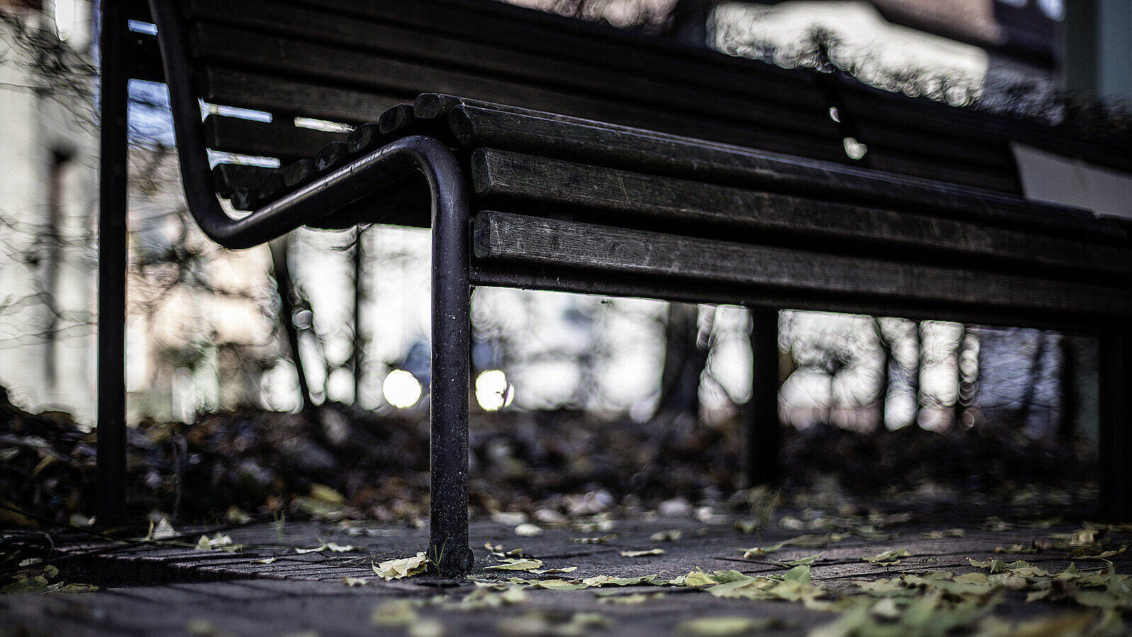 Parkbank im dunklen Licht schafft eine angespannte, gruselige Atmosphäre