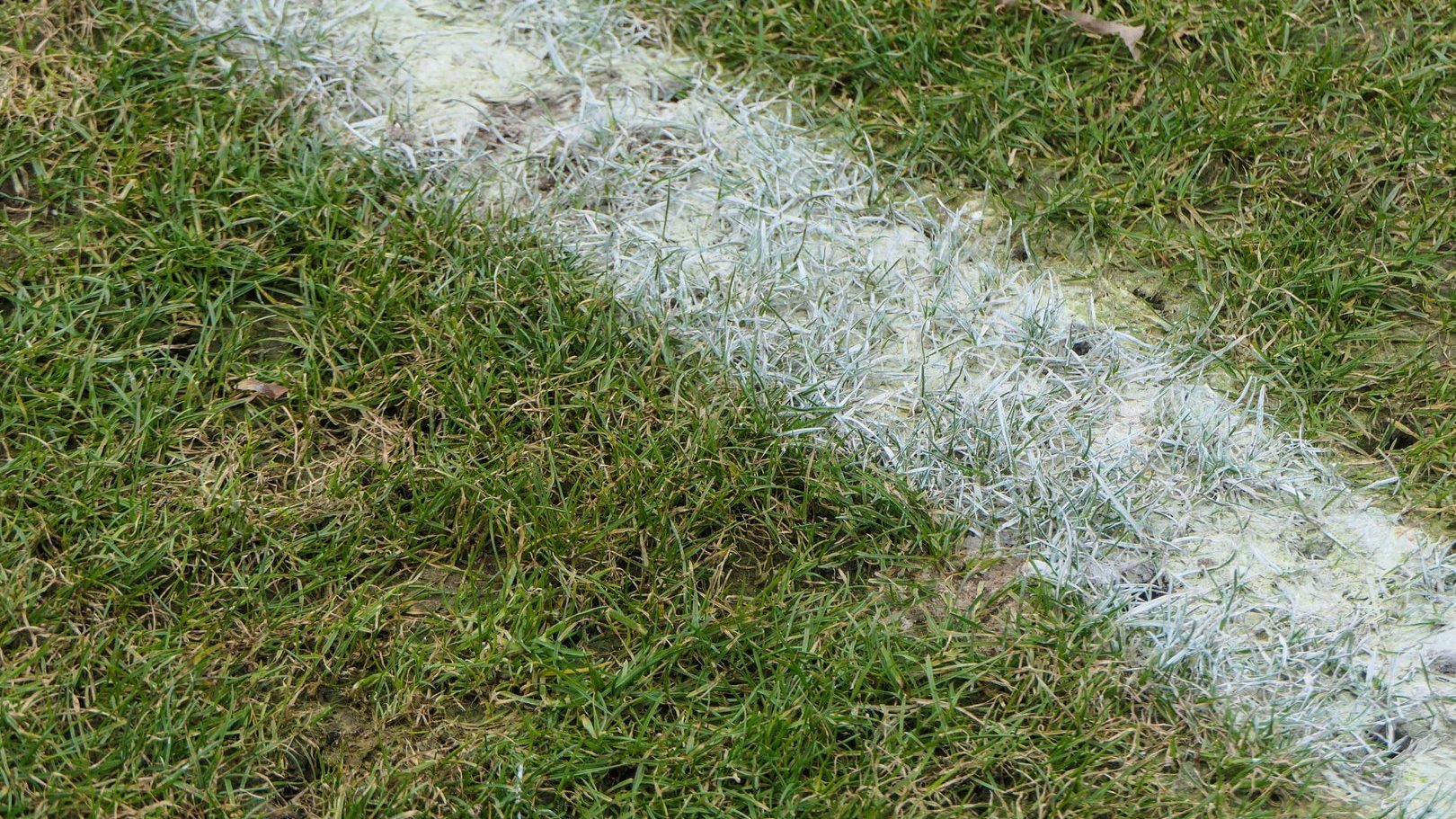 Sportnachrichten