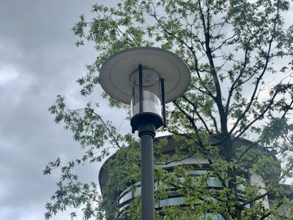 Laterne vor einem frühlingsgrünen Baum